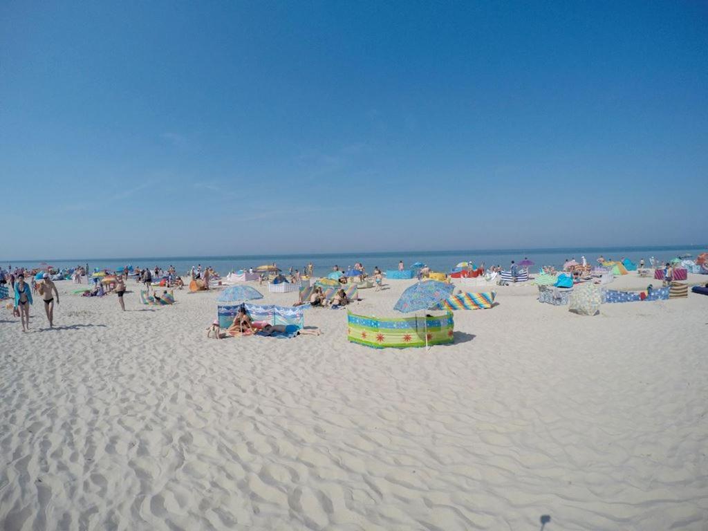 Privat overnatting Delfinek